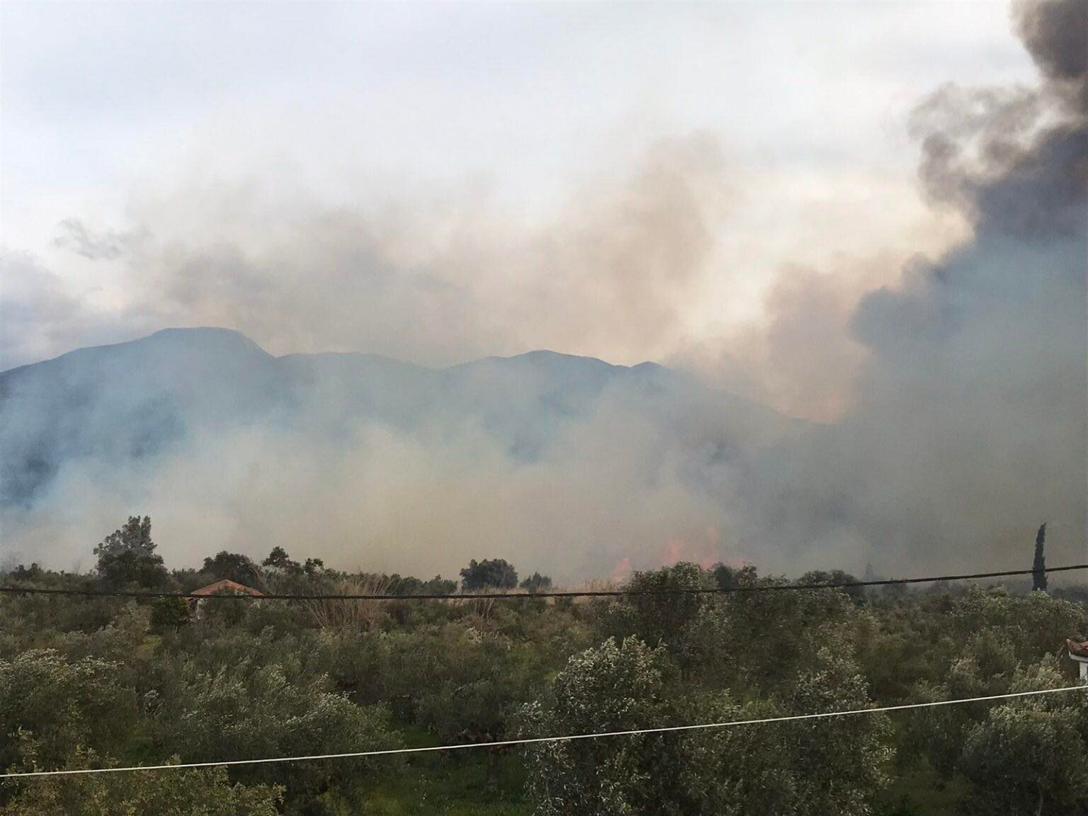Μεσσηνία: Φωτιές σε Ασπροπουλιά και Πεταλίδι - Ισχυροί άνεμοι στην περιοχή