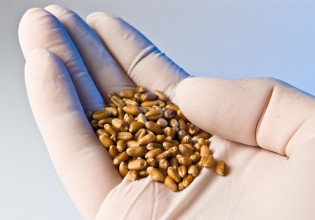 Έκτακτα μέτρα για την επισιτιστική ασφάλεια – Διορία στις επιχειρήσεις για απογραφή γεωργικών προϊόντων