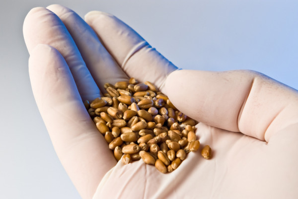 Έκτακτα μέτρα για την επισιτιστική ασφάλεια – Διορία στις επιχειρήσεις για απογραφή γεωργικών προϊόντων