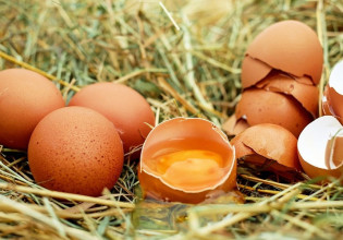 Εφαρμογή «Άρτεμις»: Καταγραφή των επιχειρήσεων παραγωγής και εμπορίας αυγών