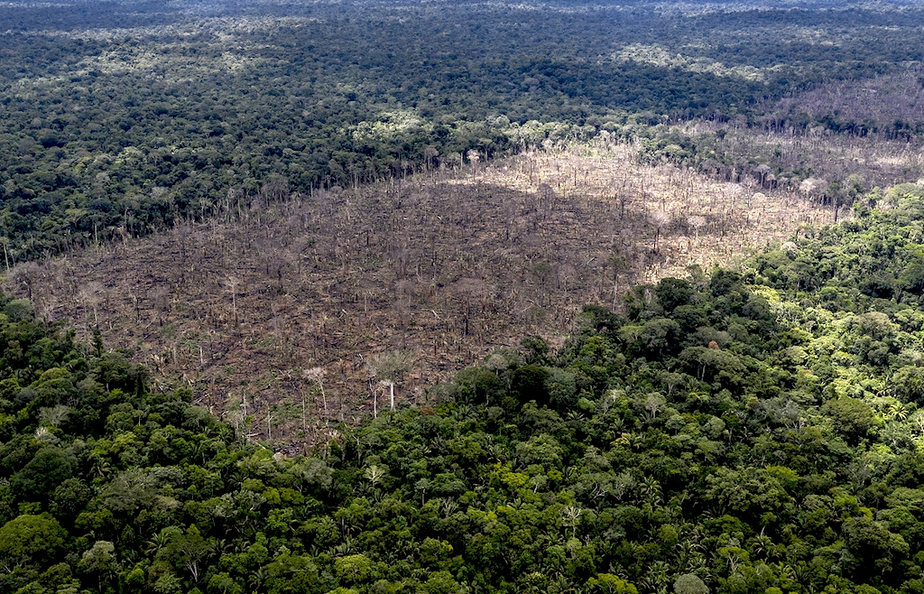 Αμαζόνιος: Αμφιλεγόμενη πρόταση διάσωσης με χορηγίες NFT