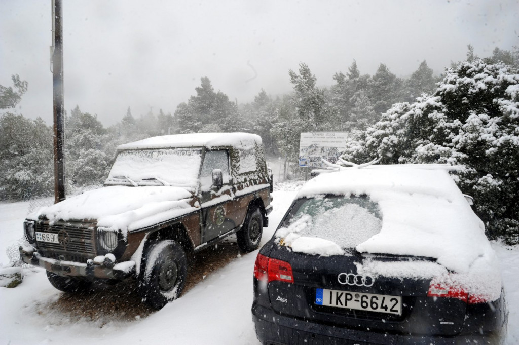 Κακοκαιρία Φίλιππος: Διεκόπη λόγω της χιονόπτωσης η κυκλοφορία στην επαρχιακή οδό Μαλακάσας – Ωρωπού