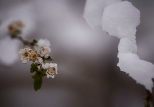 Εαρινή ισημερία: Ξεκινάει επισήμως την Κυριακή η Άνοιξη