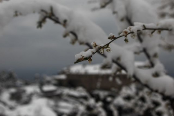 Καιρός: Η νέα κακοκαιρία έρχεται και φέρνει χιόνια στην Αττική