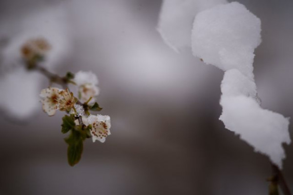 Κακοκαιρία Φίλιππος: Συνεχείς προειδοποιήσεις για ραγδαία επιδείνωση – «Μην σας ξεγελά η λιακάδα στην Αττική»