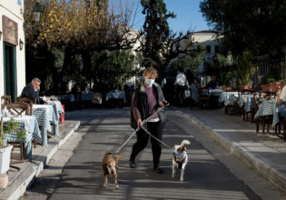 Κοροναϊός: Οι σκύλοι μυρίζουν τον ιό στους ανθρώπους με μεγάλη ακρίβεια