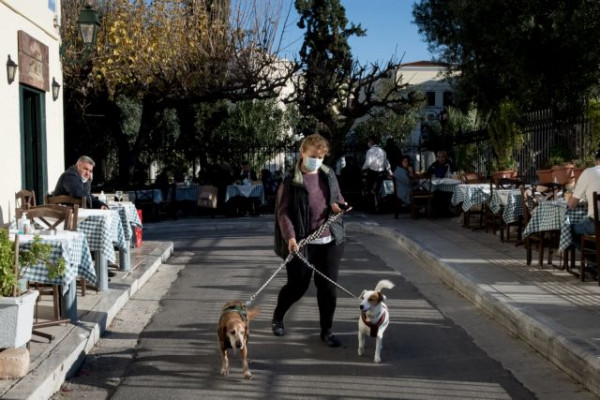 Κοροναϊός: Οι σκύλοι μυρίζουν τον ιό στους ανθρώπους με μεγάλη ακρίβεια