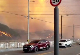 Νότια Κορέα: Δασική πυρκαγιά πλησιάζει πυρηνικό σταθμό – Σε συναγερμό οι αρχές