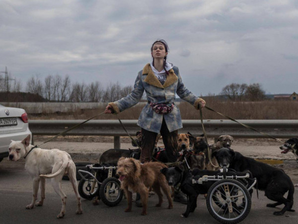 Ουκρανία: Γυναίκα διακινδυνεύει τη ζωή της για να μεταφέρει ανάπηρα σκυλιά σε ασφαλές μέρος