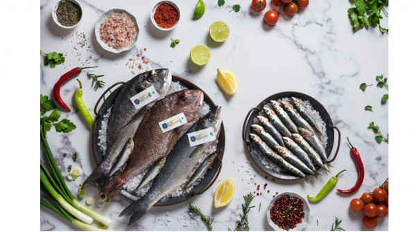 Οκτώ υψηλής διατροφικής ποιότητας ψάρια και θαλασσινά και πώς θα τα απολαύσετε οικονομικά