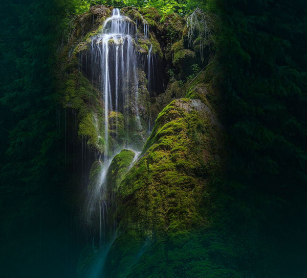 Η Φύση γιορτάζει