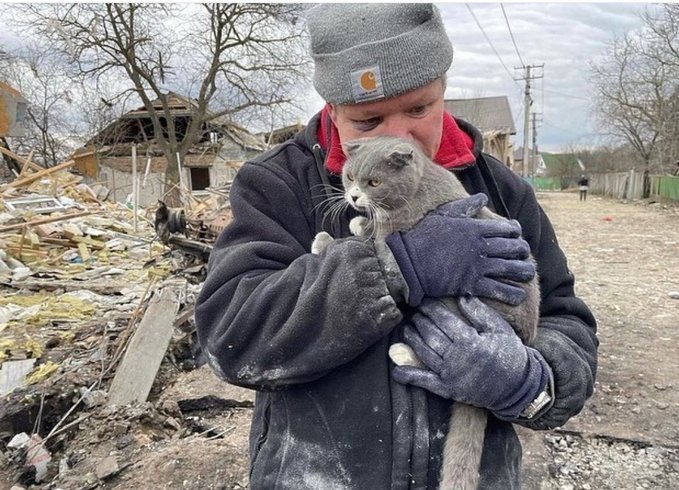 Πόλεμος στην Ουκρανία: Ρουκέτα ξεκλήρισε οικογένεια, γλίτωσαν μόνο ο άντρας κι η γάτα του