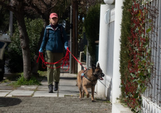 Αλεξανδρούπολη: Σκύλος ψάχνει για φόλες