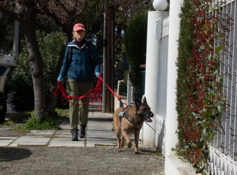 Αλεξανδρούπολη: Σκύλος ψάχνει για φόλες