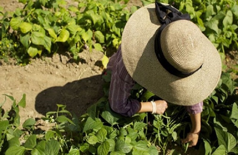 Κομισιόν: Νέο πακέτο μέτρο για την στήριξη αγροτών - Τι περιλαμβάνει