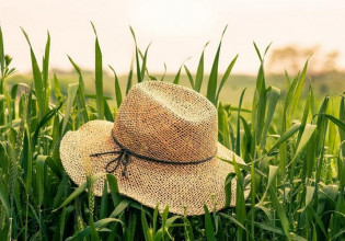 ΕΕ: Αγροτικά προγράμματα 900 εκατ. ευρώ για τις χώρες σε προενταξιακό στάδιο