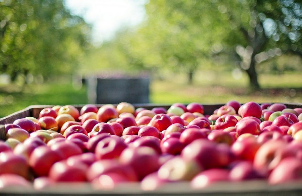 Μήλα-αχλάδια: Η εικόνα των αποθεμάτων σε Ευρώπη και ΗΠΑ
