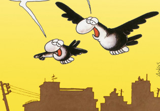 Αρκάς: Ο σπουργίτης «κόβει τα φτερά» στον πατέρα του μετά από νέα «επίθεση» αγάπης