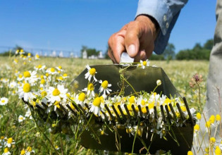 Εκσυγχρονισμός πρωτογενούς τομέα: Κατηγορίες ενισχύσεων, δικαιούχοι, περιορισμοί