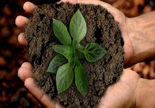 Πρόγραμμα Leader: Ποιος είναι ο αντίκτυπος στην ανάπτυξη των αγροτικών περιοχών