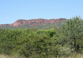 ΥΠΕΝ: Επιλύθηκε το χρόνιο πρόβλημα των δασωθέντων αγρών – Ψηφίστηκε η τροπολογία