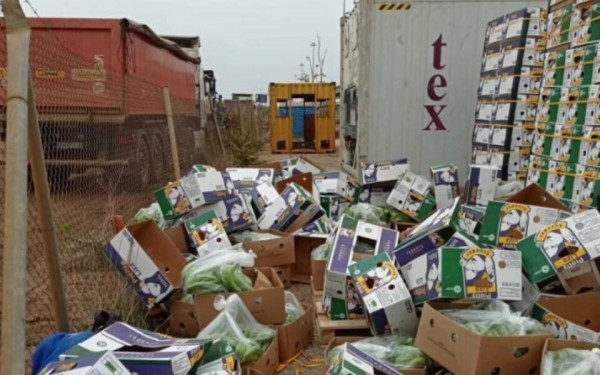 Βόρεια Ελλάδα: Αθωώθηκαν και οι 8 κατηγορούμενοι για τα 100 κιλά κοκαΐνης σε εμπορευματοκιβώτιο με μπανάνες