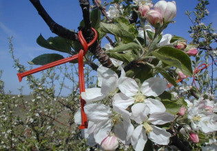 Κομφούζιο: Εν αναμονή παράτασης της 1ης πρόσκλησης – Οι δικαιούχοι, το ύψος ενίσχυσης