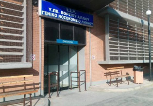 Λήμνος: Πέθανε 48χρονος από τσιμπήματα μελισσών