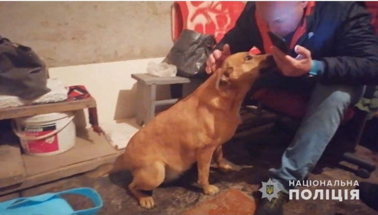 Ουκρανία: Σκύλος προειδοποιεί για τους βομβαρδισμούς πριν χτυπήσουν οι σειρήνες