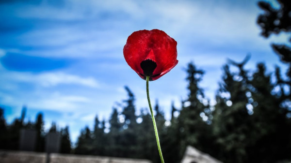 Πρωτομαγιά 2022: Πότε θα ξέρουμε ότι μεταφέρεται η αργία