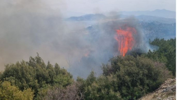 Φωτιά στη Σάμο: Ενισχύονται από την Αθήνα οι δυνάμεις της Πυροσβεστικής