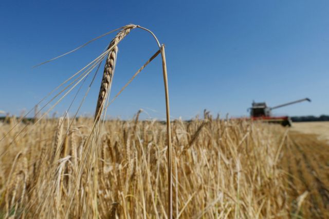 Υποχρεωτική δήλωση στοκ για γεωργικά είδη και τρόφιμα – Δείτε τα 7 προϊόντα