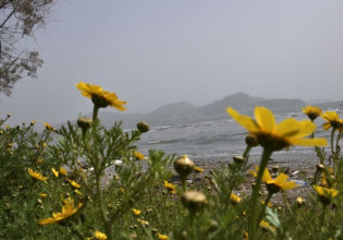 Καιρός: Τοπικές βροχές, αφρικανική σκόνη και υψηλές θερμοκρασίες