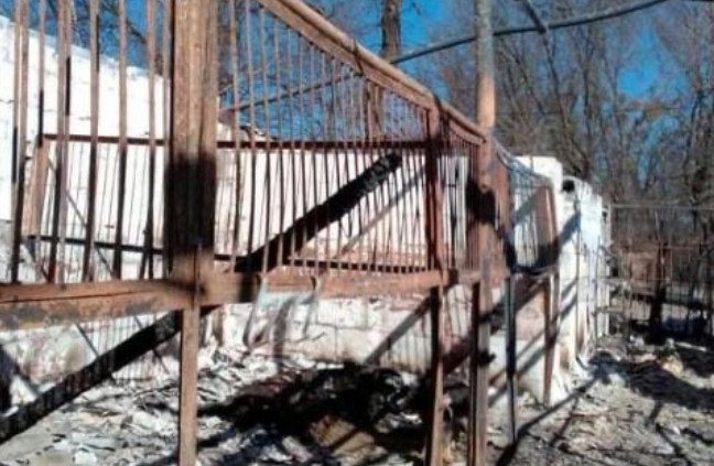 Ουκρανία: Πυρπόλησαν στάβλο στο Γκοστόμελ – Κάηκαν ζωντανά άλογα