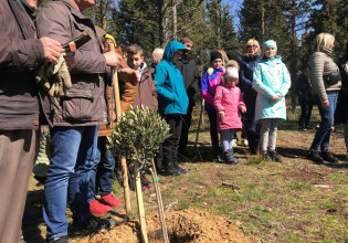 Θεσσαλονίκη: Ουκρανοί φύτεψαν δέντρα στο «Δάσος των Προσφύγων» – Πώς ξέφυγαν από τη φρίκη του πολέμου