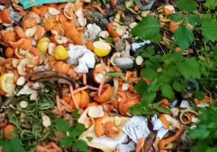 Παπάγου: Δημότης πετάει υπολείμματα τροφών δίπλα σε αυλές για να κάνει….κομποστοποίηση