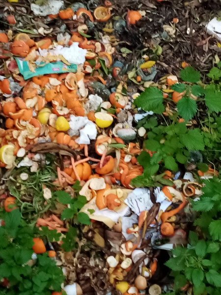 Παπάγου: Δημότης πετάει υπολείμματα τροφών δίπλα σε αυλές για να κάνει….κομποστοποίηση