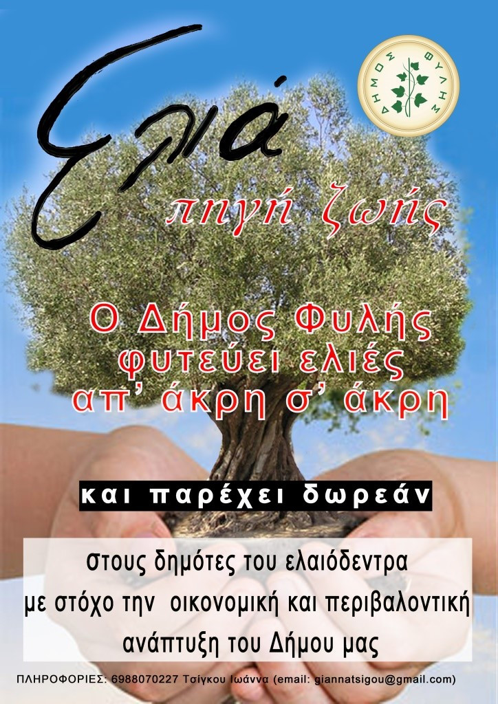 Ο Δήμος της Αττικής που θα γεμίσει ελαιόδεντρα απ’ άκρη σ’ άκρη