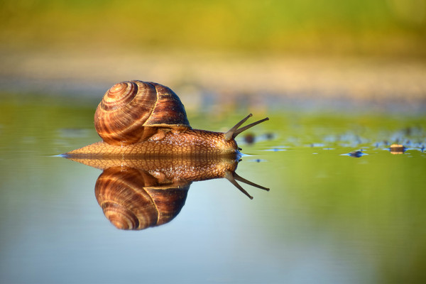 Πάρε μέρος στον φωτογραφικό διαγωνισμό «Click στη φύση» για τις περιοχές NATURA 2000
