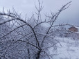 Χιόνια: Πότε θα το στρώσει στην Αττική – Προ των πυλών σκληρό κρύο