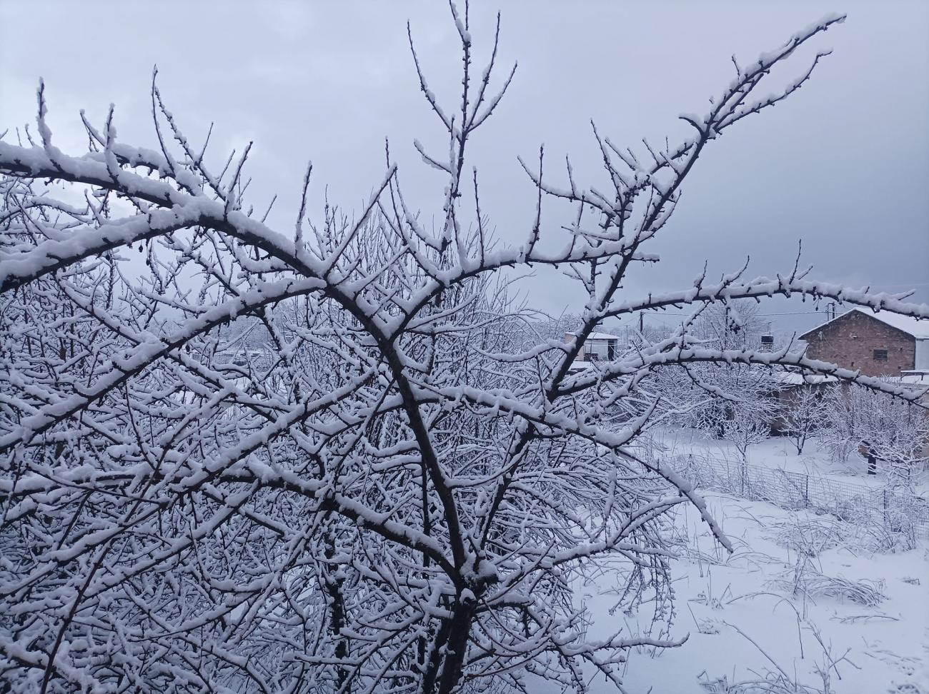Χιόνι: Πότε θα το στρώσει στην Αττική - Προ των πυλών σκληρό κρύο