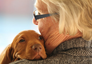 Τα κατοικίδια φαίνεται ότι προστατεύουν το μυαλό στα γηρατειά