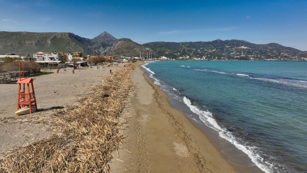 Γέμισε καλάμια η παραλία