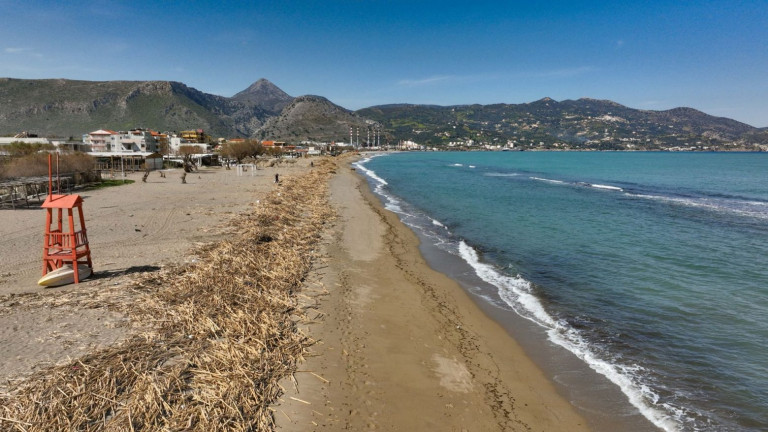 Γέμισε καλάμια η παραλία