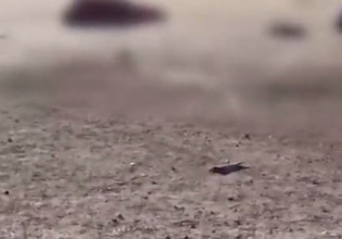 Ουκρανία: Εκτέλεσαν 10 αμάχους την ώρα που περίμεναν στην ουρά για ψωμί