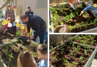 Ηράκλειο: Ένας λαχανόκηπος σε κάθε σχολείο
