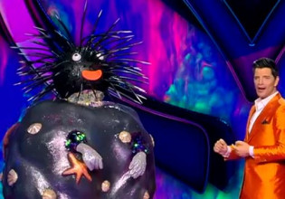 The Masked Singer: Δεν φαντάζεστε ποιος κρυβόταν πίσω από τον Αχινό