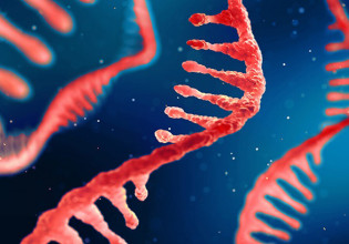 Εμβόλιο «αυτοενισχυόμενου mRNA» αποδεικνύεται αποτελεσματικό στον κοροναϊό