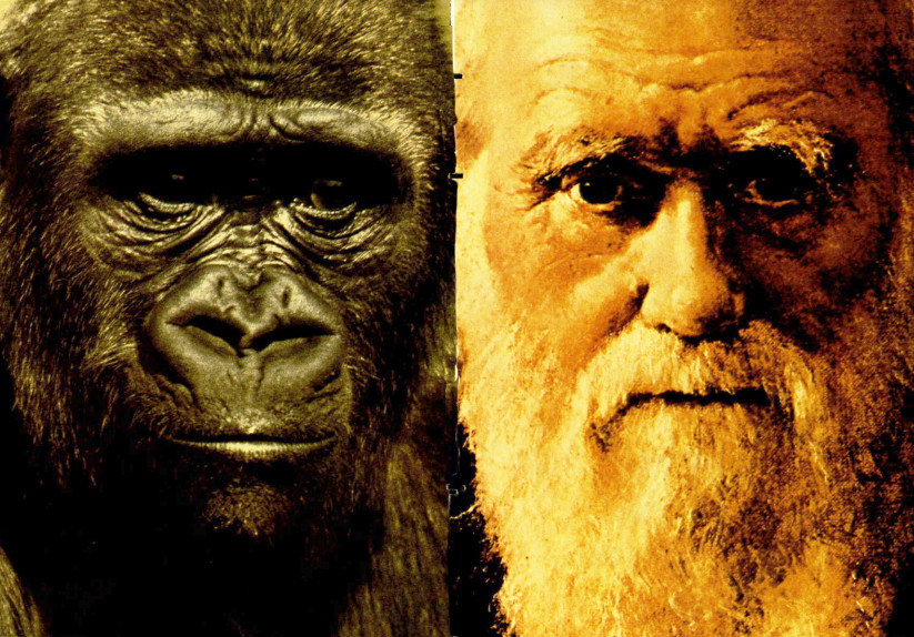 Κάρολος Δαρβίνος: Ο φυσιοδίφης που έφερε τα πάνω κάτω στη μελέτη του ανθρώπινου είδους