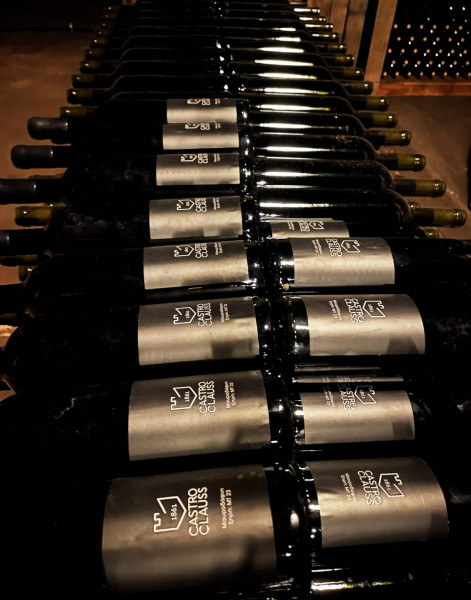 ΜΤ 23: Η ιδιαίτερη μαυροδάφνη που κλείνει μέσα της τη μοναδική οινοποιητική παράδοση της Αχαΐας